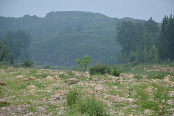 河南河石鵝卵石水沖石密度