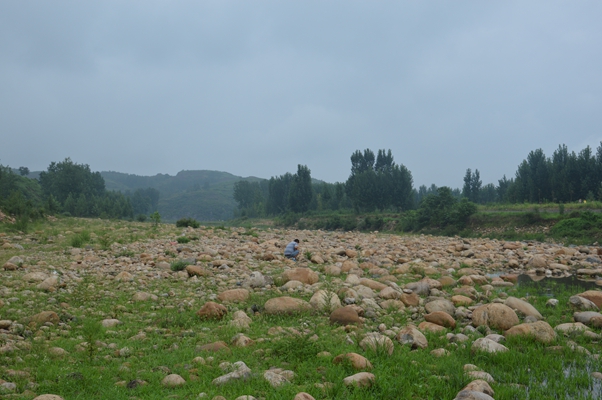 河南河石鵝卵石水沖石密度