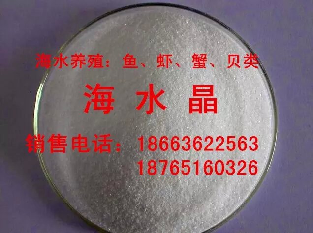 供應(yīng)海水晶，（海水養(yǎng)殖，暫養(yǎng)）