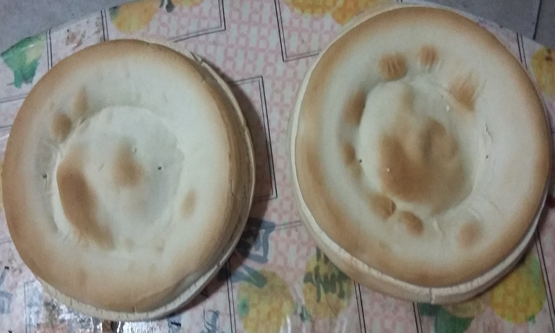 供應(yīng)導熱油火燒爐