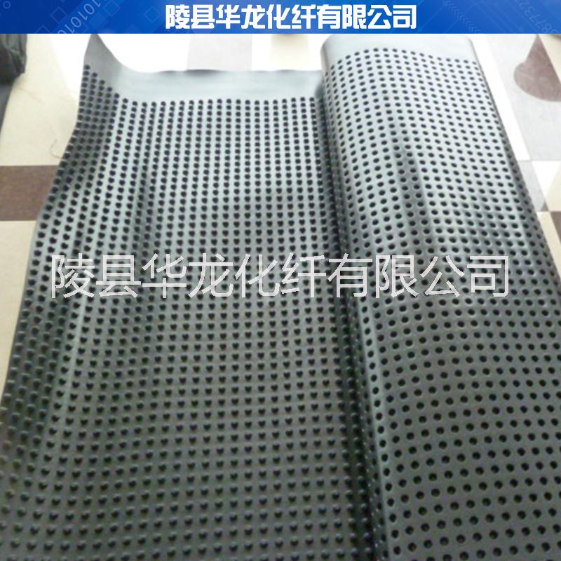供應(yīng)排水板生產(chǎn) hdpe排水板 綠化蓄水