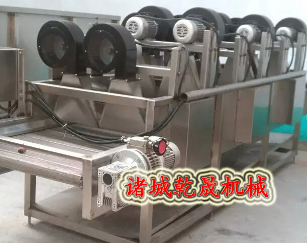 供應諸城強流風干線供應商，軟包裝商用蔬菜清洗機價格，大型全自動*節(jié)能風干線廠家