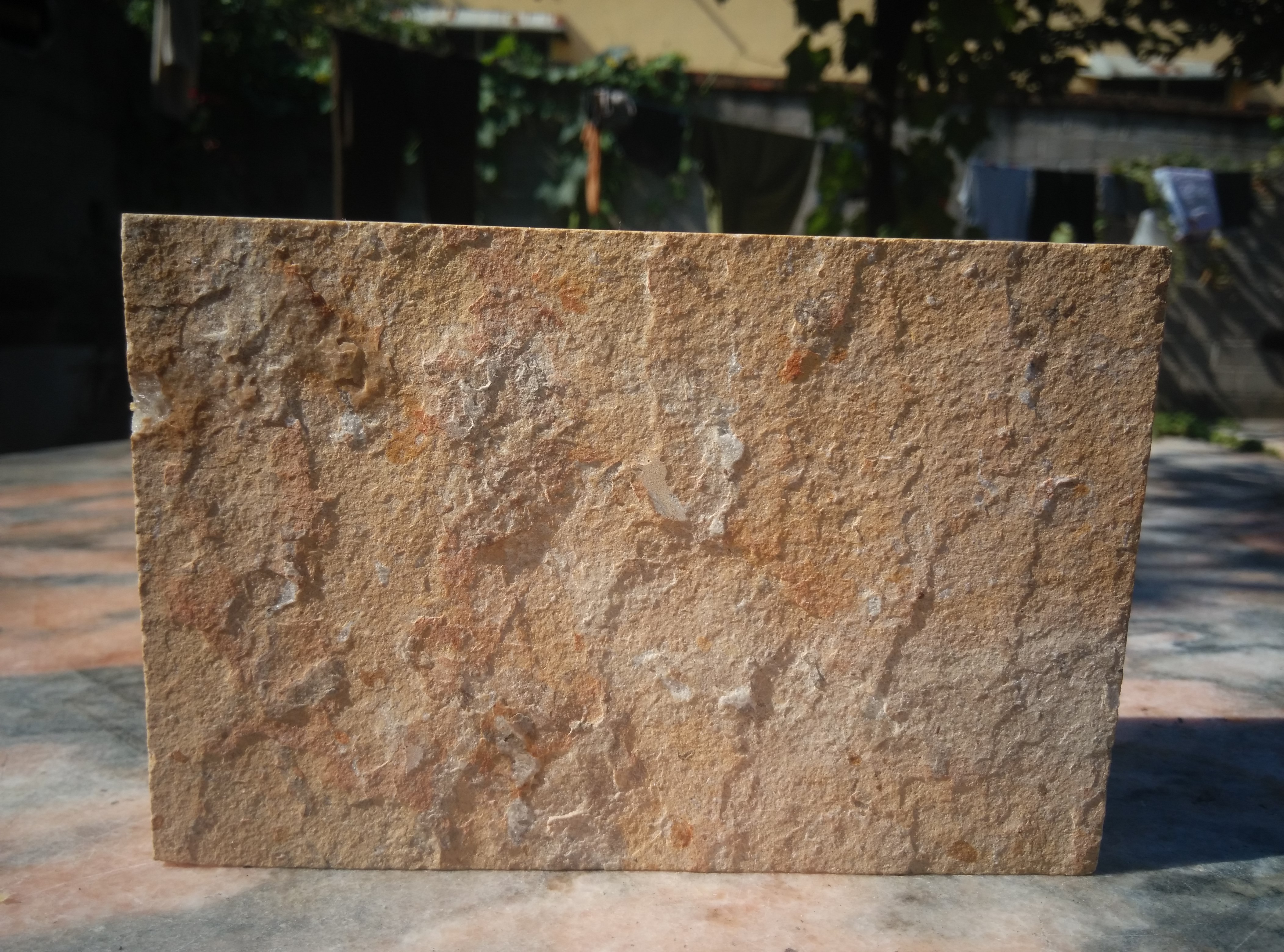 河南黃洞石外墻磚批發(fā)