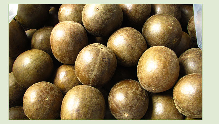 供應(yīng)羅漢果*,羅漢果價(jià)錢,羅漢果價(jià)格