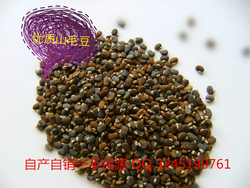 自產自銷 山毛豆 一手貨源