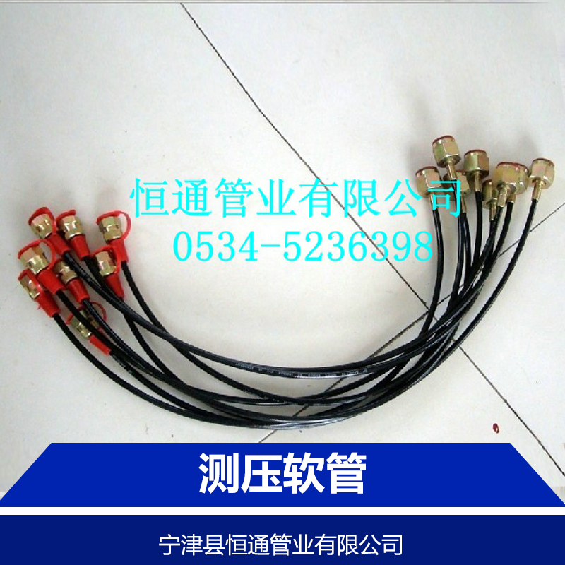 供應用于液壓管|潤滑管|制冷設備等的測壓軟管測壓管總成廠家直銷-測壓軟管批發(fā) 山東測壓軟管測壓管總成廠家直銷