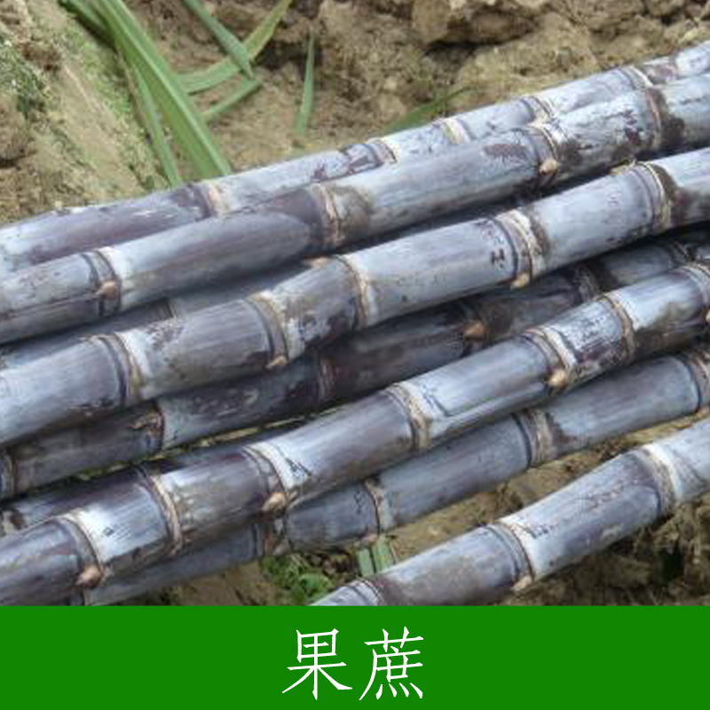 供應(yīng)甜甘蔗多少錢一斤 廣西黑皮甜蔗批發(fā)商