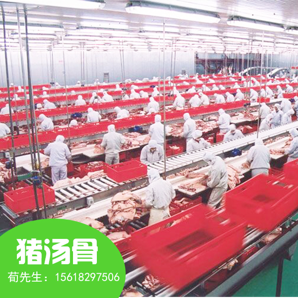 上海金鑼配送中心供應(yīng)優(yōu)質(zhì)豬湯骨 上海金鑼肉批發(fā)