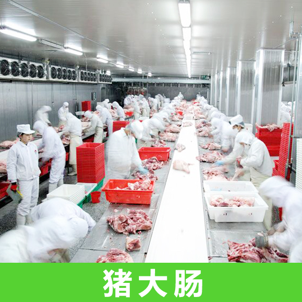 廠家直銷優(yōu)質(zhì)豬大腸 豬大腸批發(fā) 上海金鑼肉配送