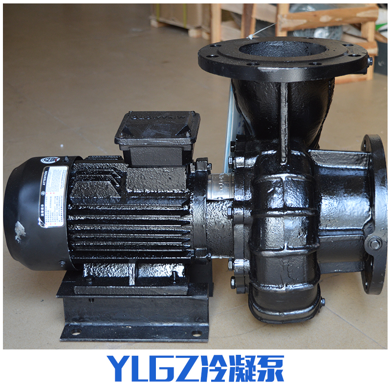 供應(yīng)ylgz32-100冷凝泵 YLGZ冷凝泵生產(chǎn)廠家批發(fā)