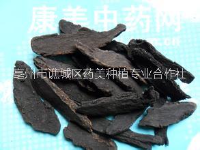 供應(yīng)玄參種苗 玄參基地 玄參報(bào)價(jià) 玄參種苗 玄參飲片 玄參芽子