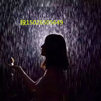 供應(yīng)用于服務(wù)的美陳暖場道具雨屋