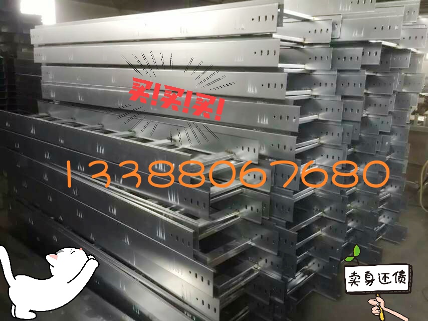 供應(yīng)天津遠(yuǎn)通梯式金屬鍍鋅橋架線槽 電氣工程布線橋架 弱電機(jī)房金屬布線電纜線槽及蓋板 電纜橋架線槽