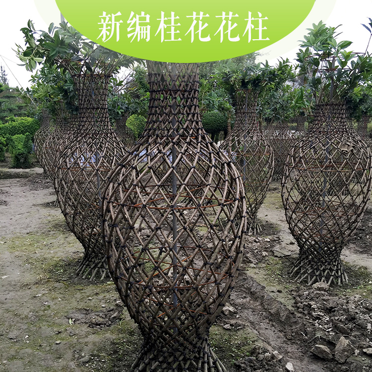 供應(yīng)新編桂花花柱.花瓶優(yōu)質(zhì)新編桂花花柱.花瓶