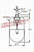 供應(yīng)浮球開關(guān)FCV21QD