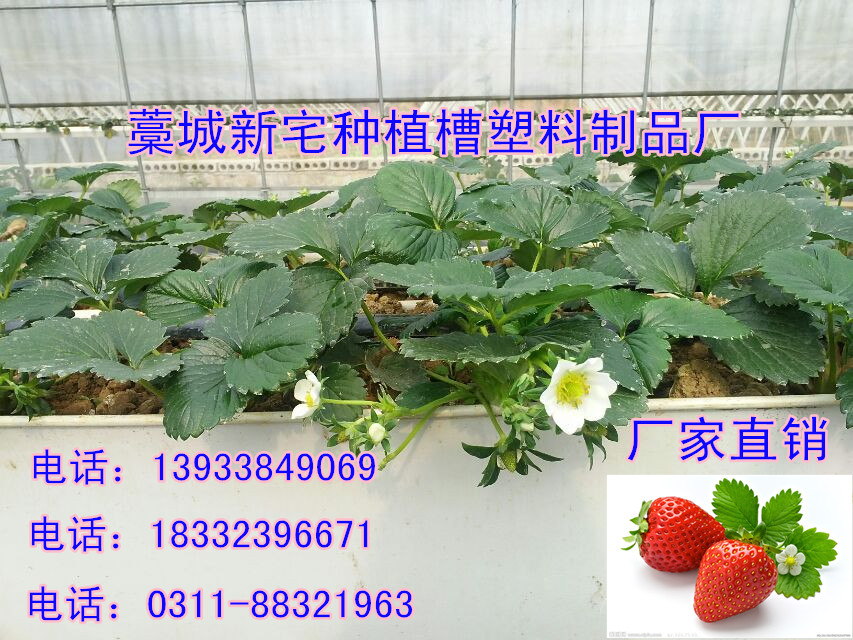 供應藁城PVC立體種植栽培槽廠