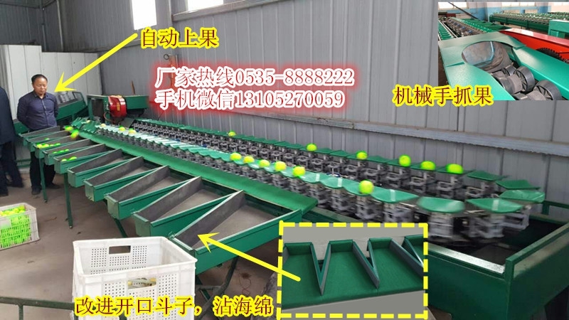 廣西青棗分選機采用型鋼結(jié)構(gòu)，堅固