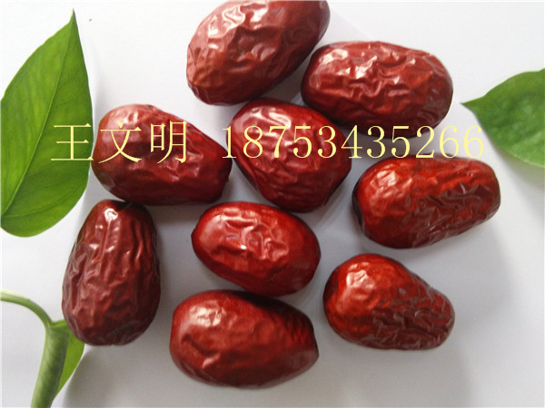 產(chǎn)地供應(yīng)新疆大棗價格行情