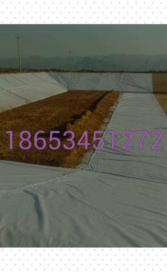 供應(yīng)濰坊土工膜廠家 濰坊復(fù)合土工膜規(guī)格 土工布廠家