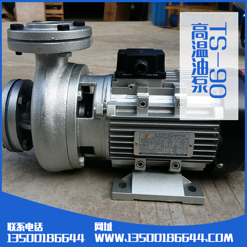 供應(yīng)TS-90油泵生產(chǎn)廠家批發(fā)