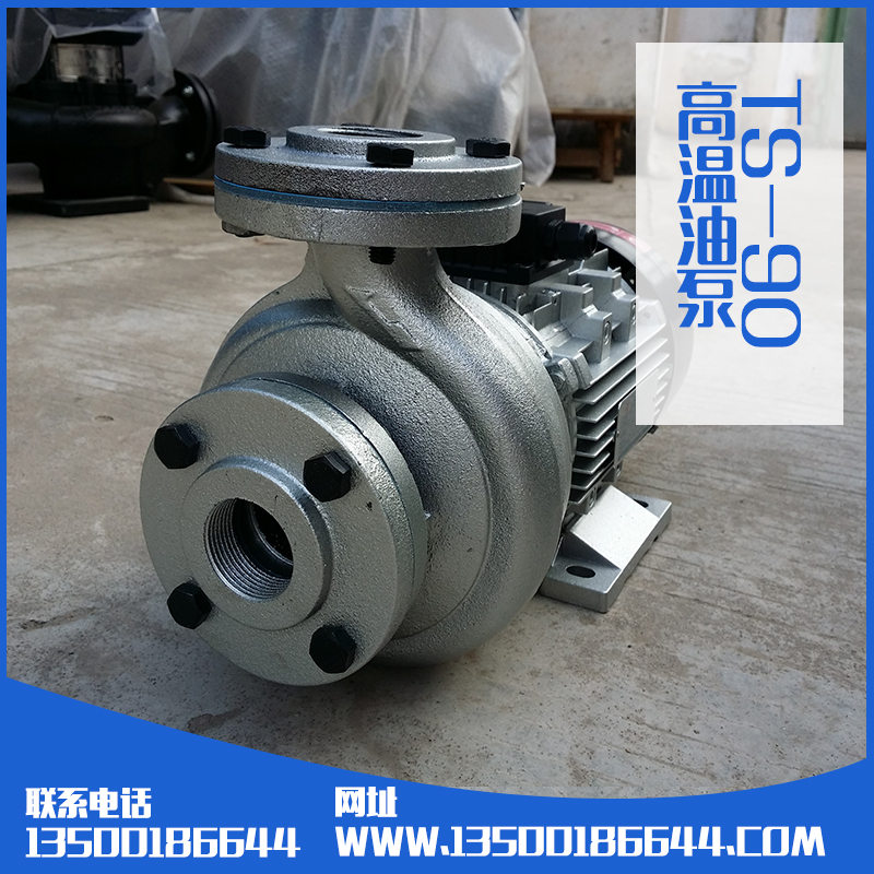 供應(yīng)TS-90油泵生產(chǎn)廠家批發(fā) 導(dǎo)熱油泵廠家直銷
