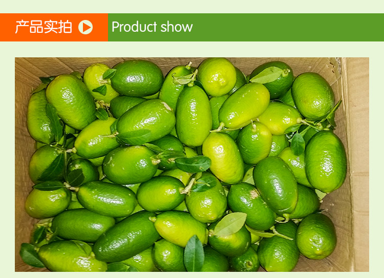 檸檬，檸檬批發(fā)，檸檬采購，檸檬批發(fā)價格 新鮮檸檬哪里有