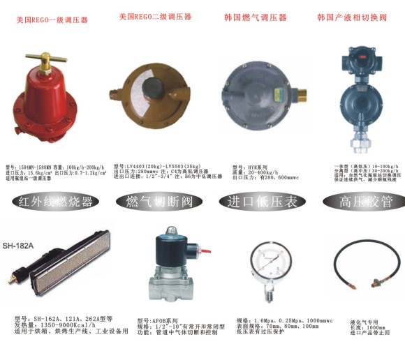 供應(yīng)空溫式氣化器100kg配套設(shè)備