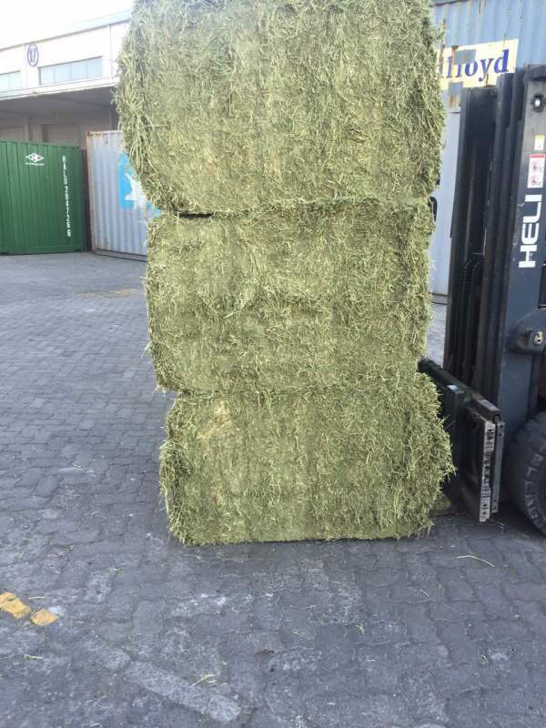 供應用于的進口苜蓿草,低成本*，可提高