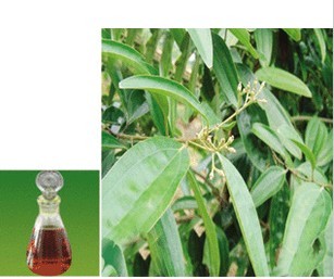 供應醫(yī)用*油廠家*惠