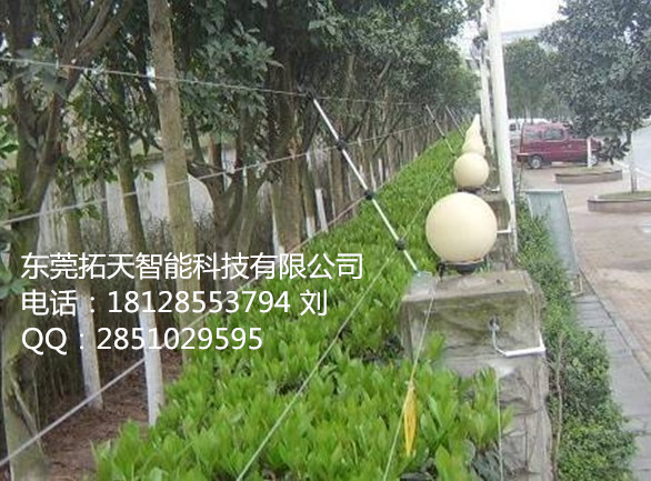 供應(yīng)拓天電子圍欄