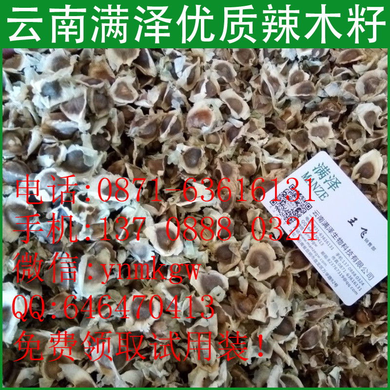 批發(fā)辣木籽/辣木種子，辣木籽哪里批發(fā)，辣木籽哪里買，辣木籽哪種好，辣木籽的價(jià)格