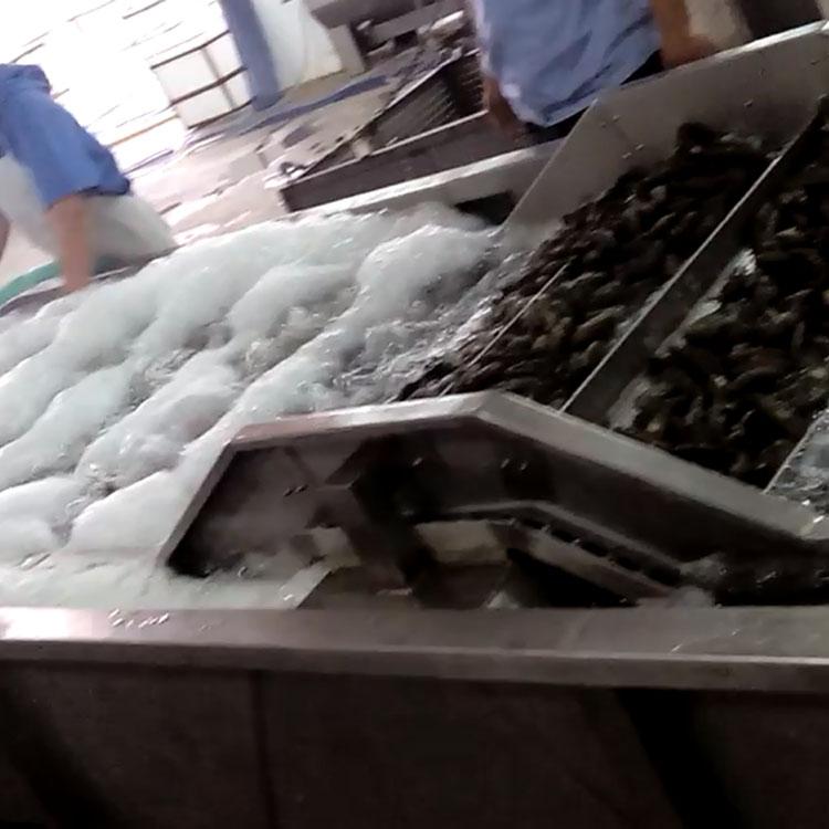 供應果蔬清洗機