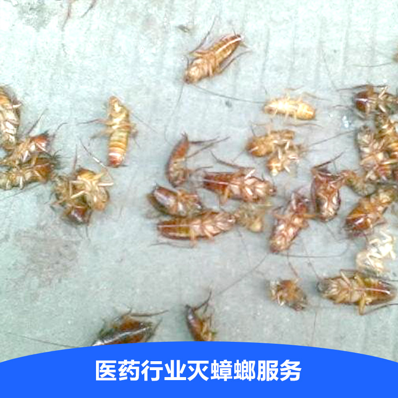 供應醫(yī)藥行業(yè)滅蟑螂服務 昆明藥店制藥廠滅蟑螂服務 云南專業(yè)滅蟑螂殺蟲防治服務公司