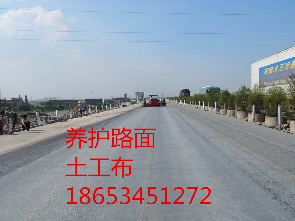 供應短纖丙綸土工布價格批發(fā) 德州無紡針刺土工布產(chǎn)品廠家