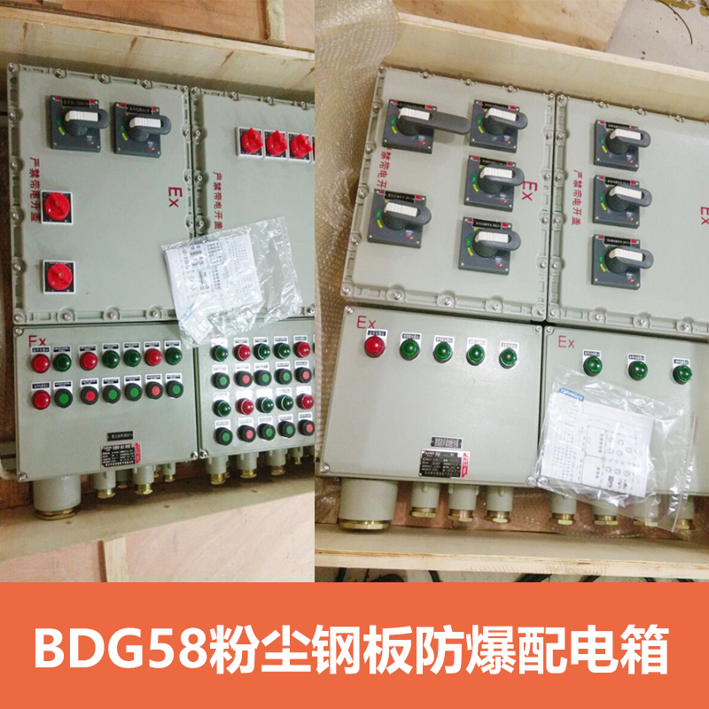 供應(yīng)BDG58系列防爆配電箱 防爆照明配電箱 上海防爆控制箱廠家直銷