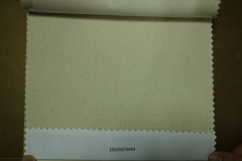 供應(yīng)坯布10*10*74*44