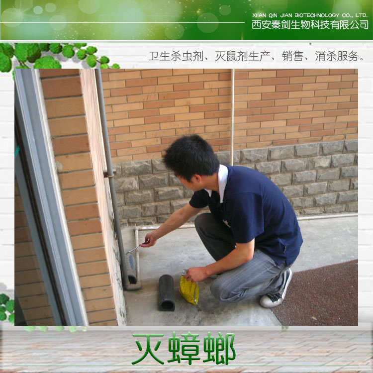 供應(yīng)陜西秦劍滅蟑螂 滅蟑螂*藥 滅蟑螂小竅門 滅蟑螂公司