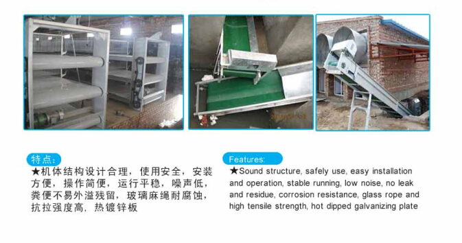 供應(yīng)用于自動養(yǎng)雞設(shè)備| 廠家直銷|自動清糞的方圓銷售的雞用自動清糞機(jī)