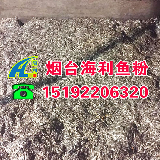 供應(yīng)用于皮毛動(dòng)物|水產(chǎn)動(dòng)物|豬雞鴨的秘魯tasa蒸汽魚(yú)粉 進(jìn)口魚(yú)粉