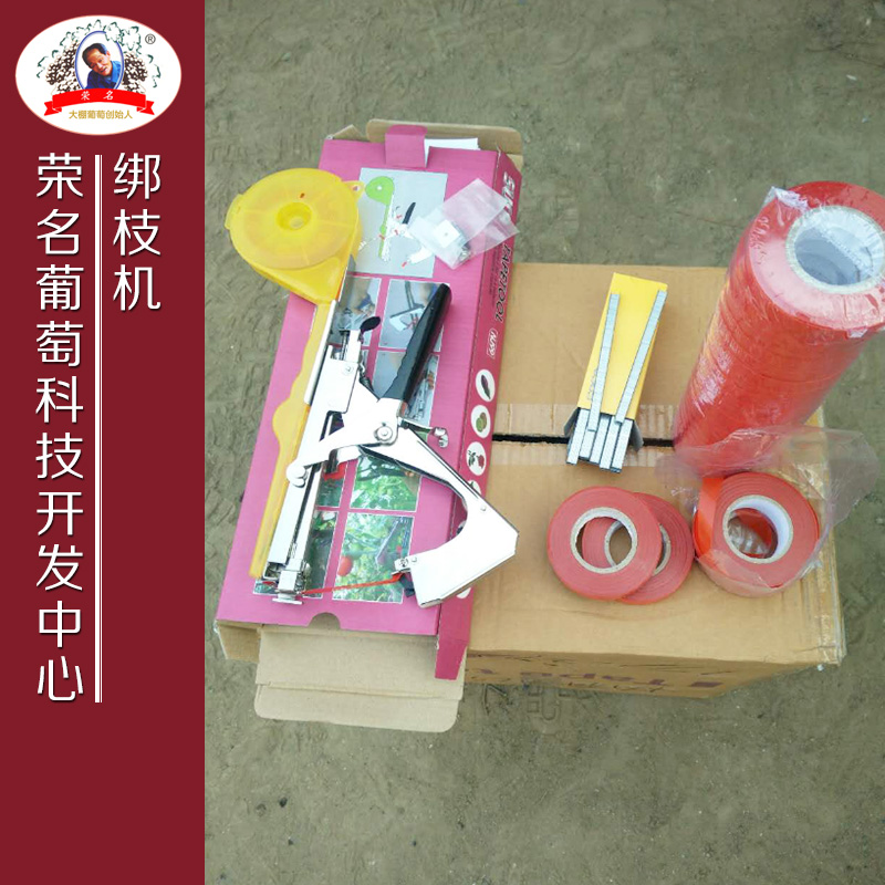供應(yīng)綁枝機綁枝機工具.綁枝機直銷綁枝機批發(fā)