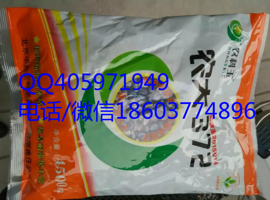 供應(yīng)用于農(nóng)業(yè)生產(chǎn)的高產(chǎn)抗病農(nóng)大372玉米種子 高產(chǎn)抗病紅軸大農(nóng)大372玉米種子