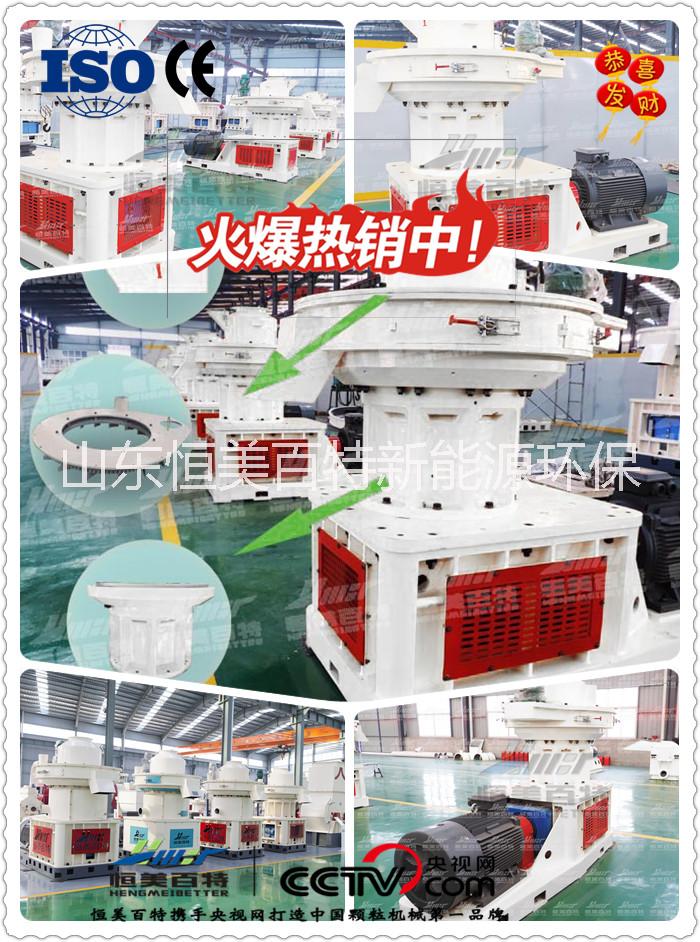 供應生物質顆粒機木屑顆粒機全套生產(chǎn)線