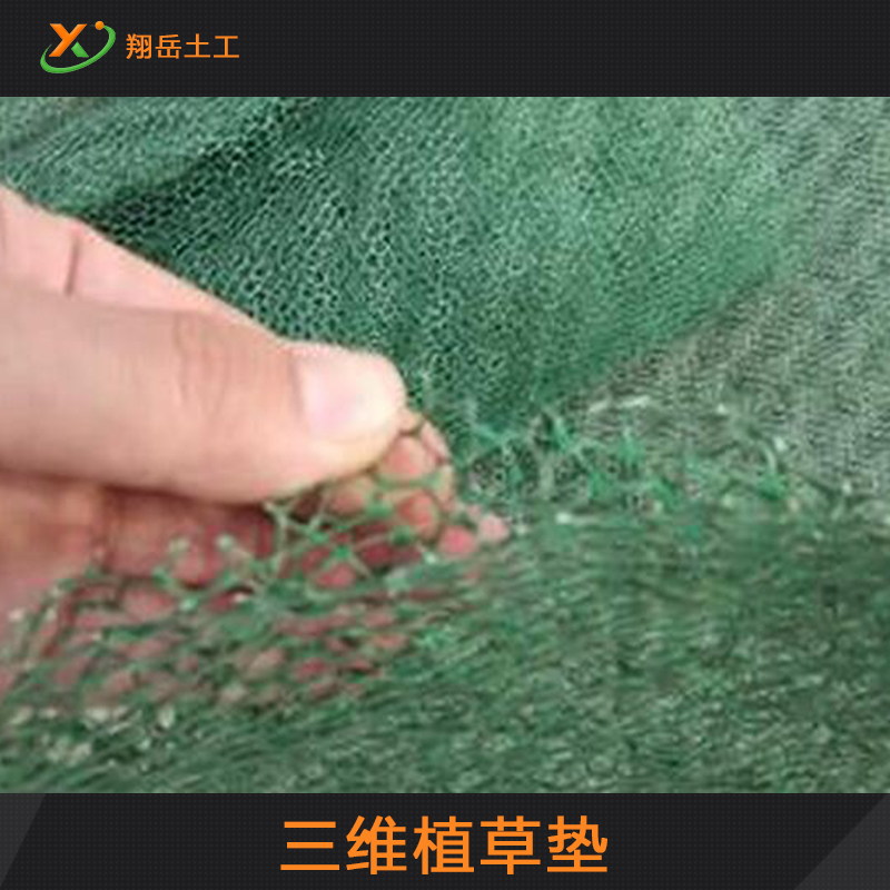 供應(yīng)三維植草墊  土工網(wǎng)墊 加筋草網(wǎng)墊