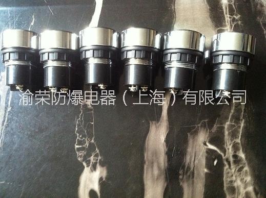 供應(yīng)上海渝榮8018防爆信號(hào)燈參數(shù)  LED防爆指示燈價(jià)格