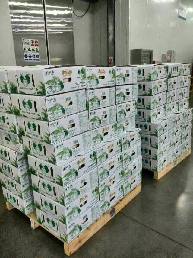 供應(yīng)上海馬來西亞椰子進(jìn)口報關(guān)清關(guān)手續(xù)