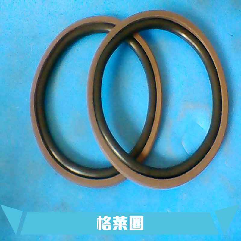 供應機械密封件生產(chǎn) 揚中斯特封格萊圈生產(chǎn)廠家 揚中四氟墊片擋圈生產(chǎn)廠家