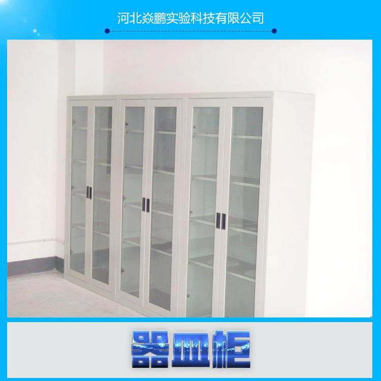 供應(yīng)PP器皿柜 實(shí)驗(yàn)室器皿柜可定制生產(chǎn)