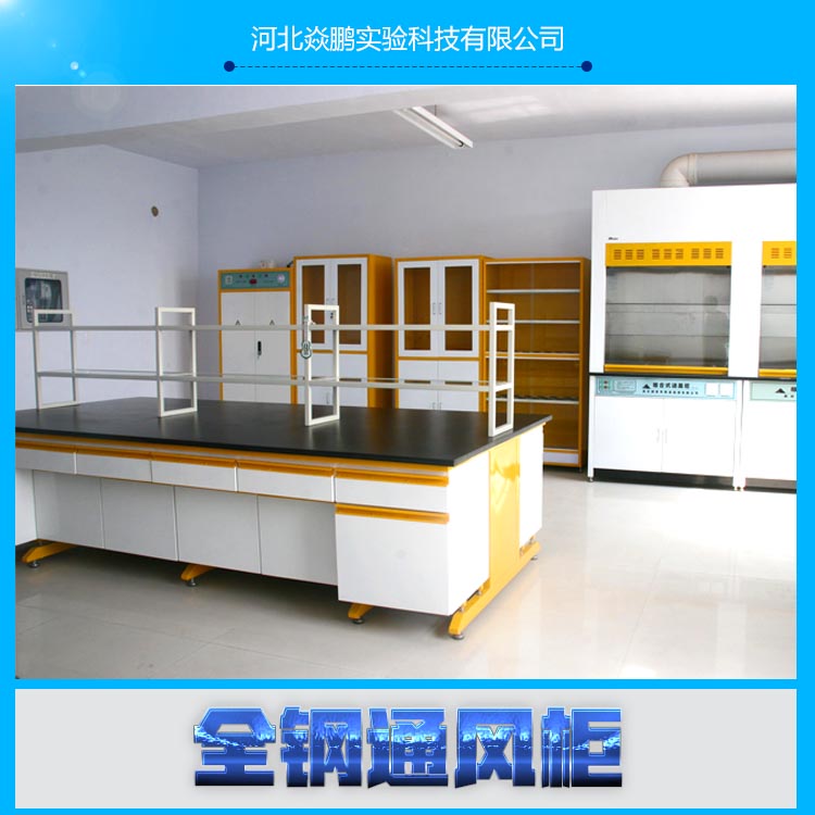 供應(yīng)全鋼通風(fēng)柜 新款通風(fēng)櫥 *通風(fēng)柜