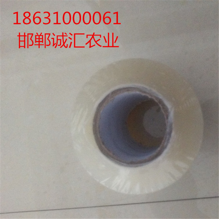 供應(yīng)用于日光溫室|蔬菜大棚薄膜|修補(bǔ)*的補(bǔ)膜膠帶
