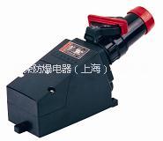 供應(yīng)云南省個(gè)舊市防爆防腐插接裝置規(guī)格  防爆防腐插接裝置價(jià)格
